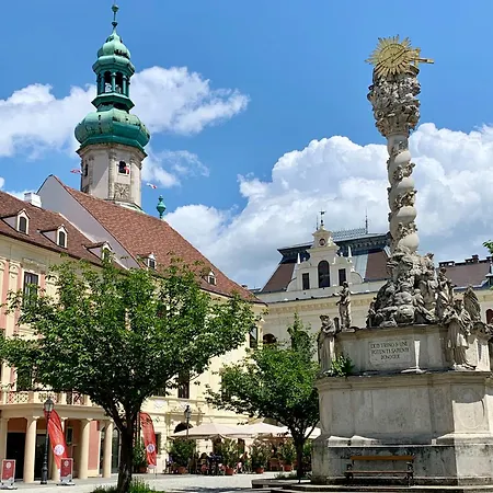 Sicomoro Casa アパート *