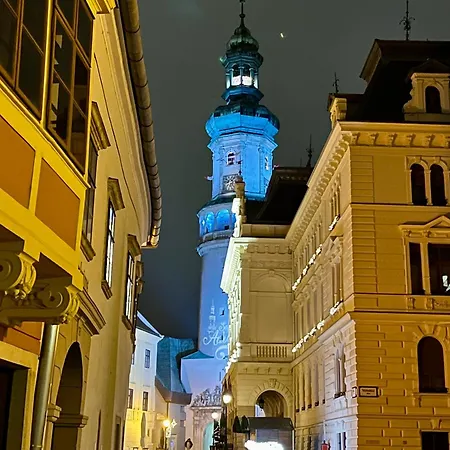 Apartamento Sicomoro Casa